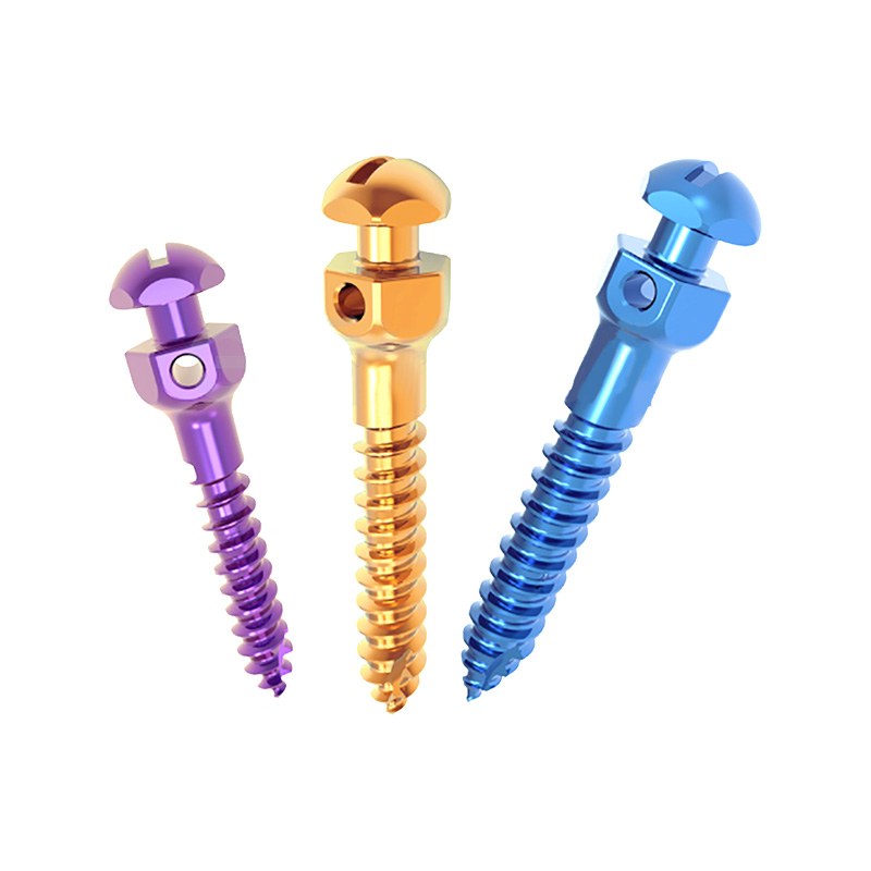 Orthodontic Mini-Implant