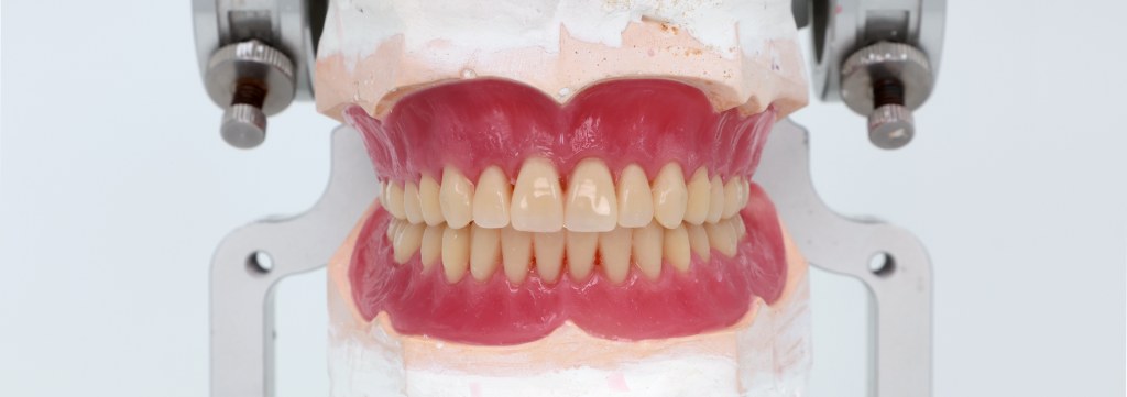 Pigeon Synthetic Resin Teeth